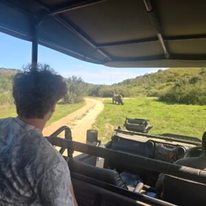 Botlierskop safari 2