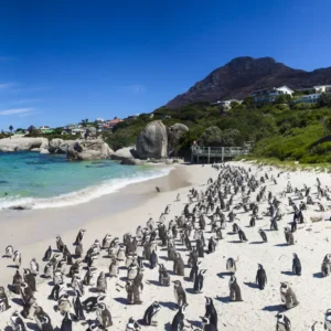 boulders beach